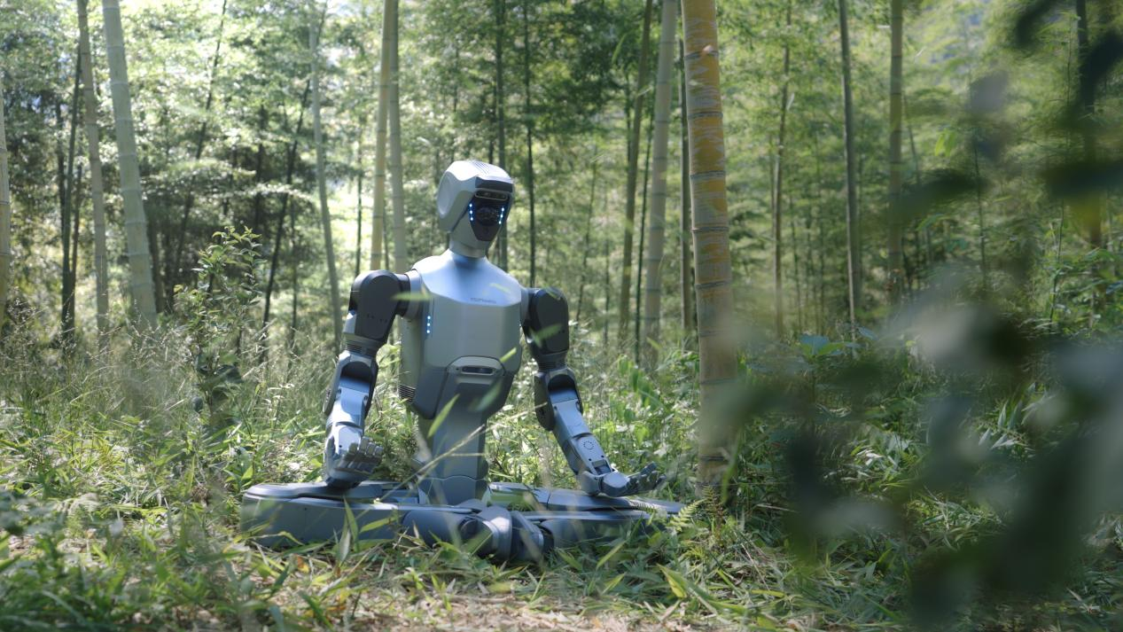 1765259785990023.png 图片111.png