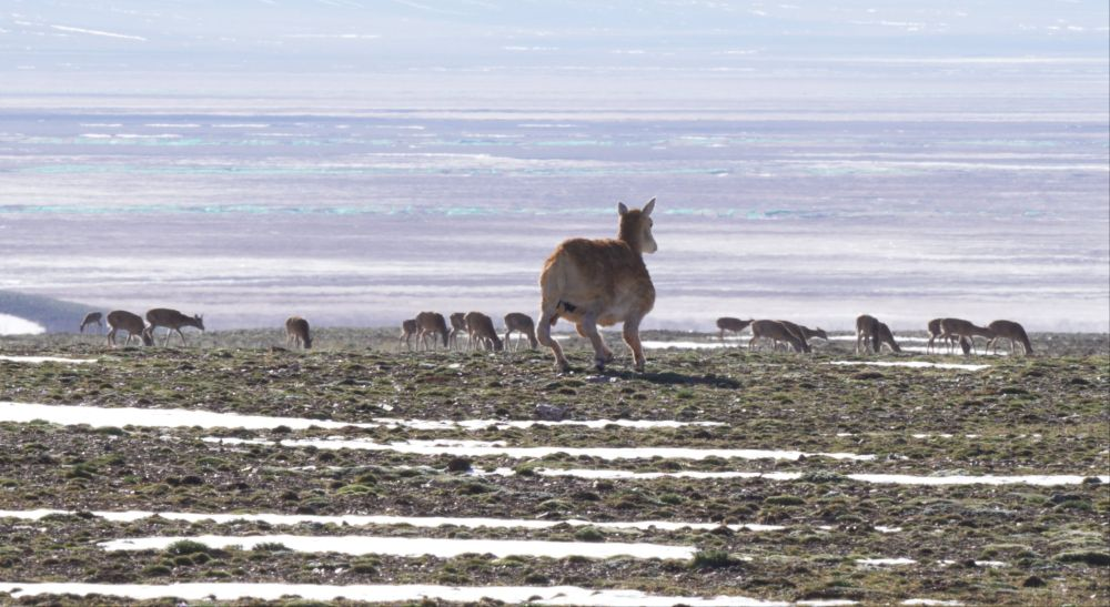 1765260023514169.png 图片1333.png