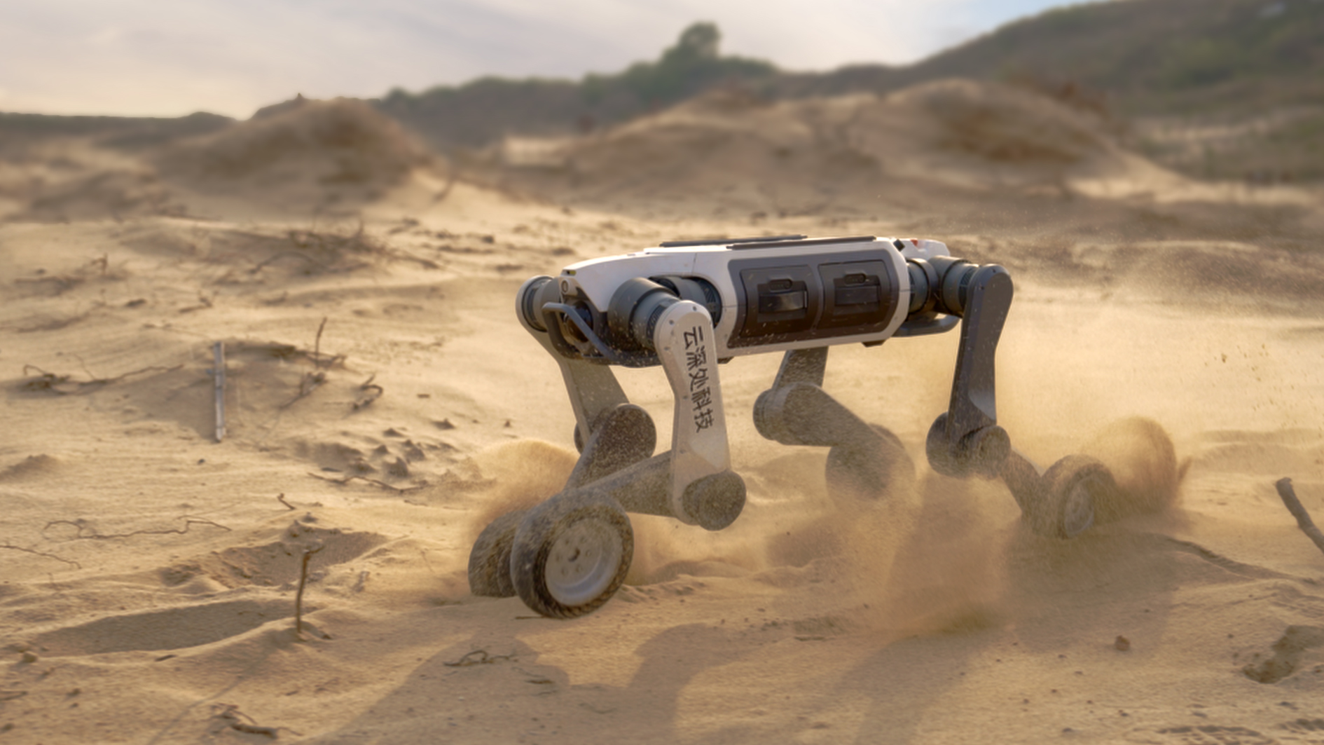 1765260358769890.jpg m20.jpg